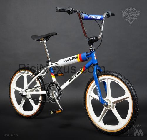 Raleigh Team Burner ficha técnica y opiniones